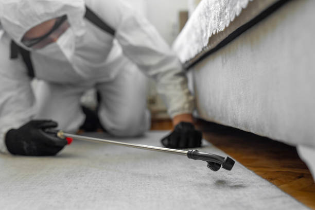 Professional Cockroach Control technician working in Franklin, IN