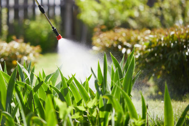 24/7 Emergency Cockroach Control experts in Franklin, IN