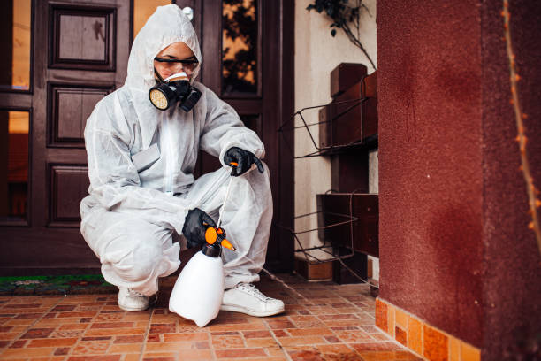 Reliable Cockroach Control contractor in Franklin, IN by Nex Pest Control
