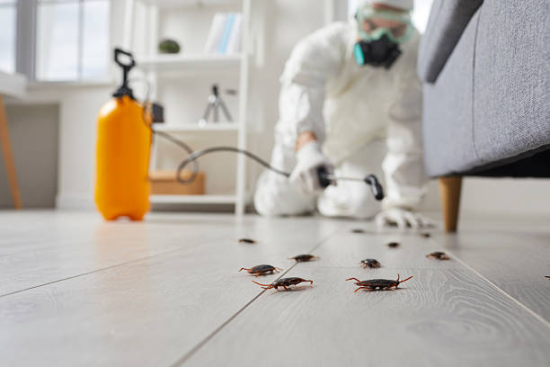 Trusted Rodent Control service in Franklin, IN - Nex Pest Control